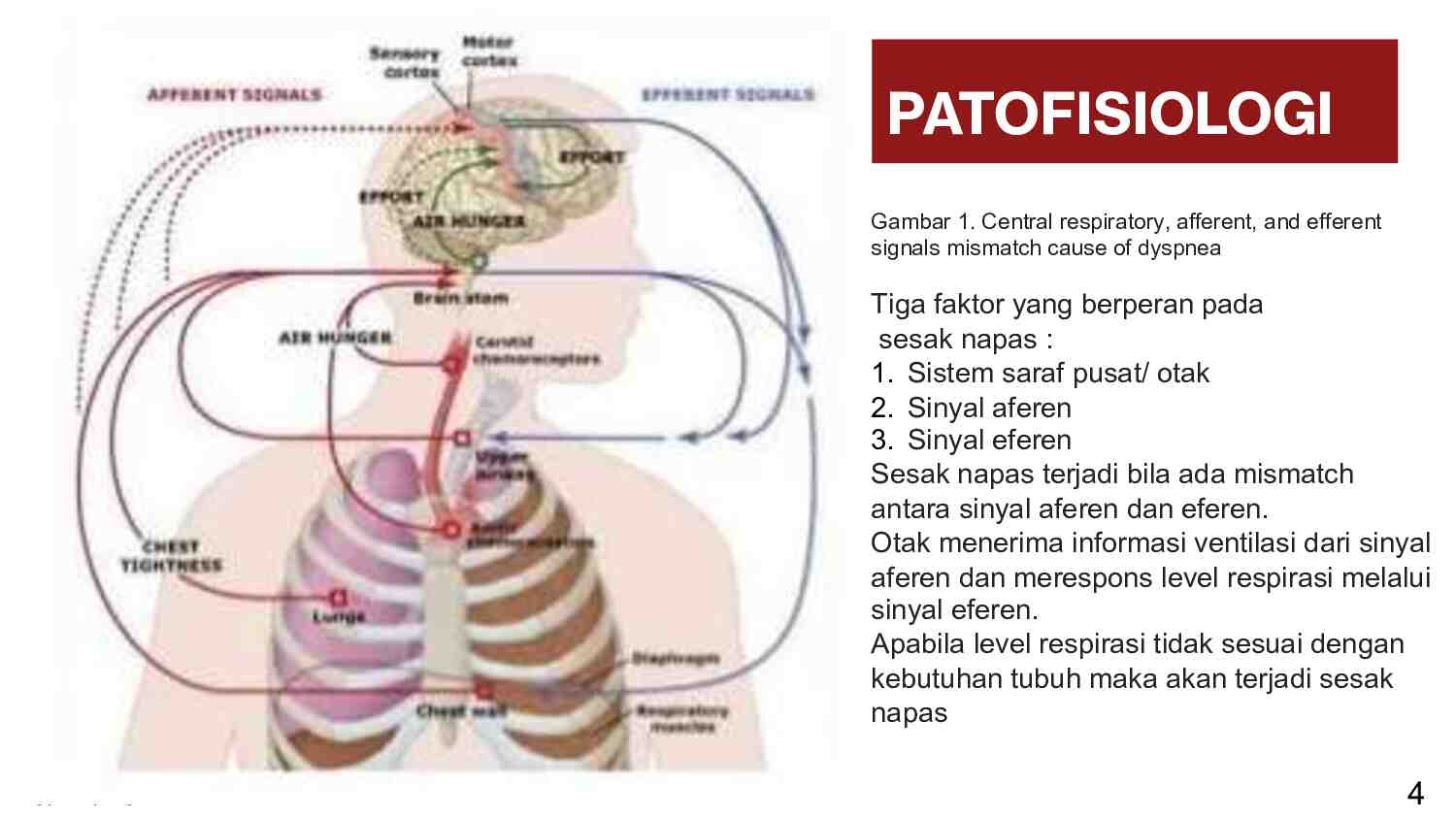 [week-1]-approaching-dyspnea-comprehensive-management-and-diagnostic-strategies-462